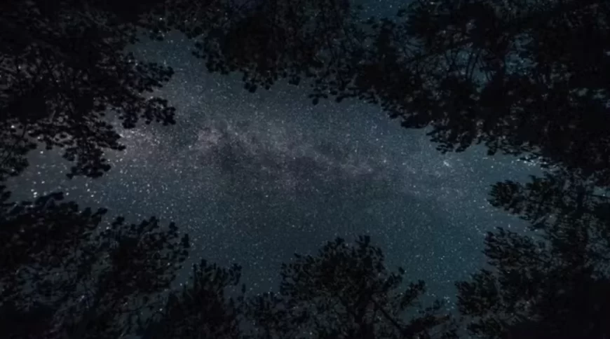 Discovering the Castelmauro Observatory and the Most Modern Telescope in Italy